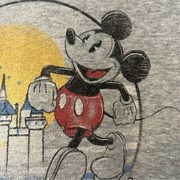 ⭐️Disney Parks Disneyland resort vintage look crop hooded sweatshirt size medium - Picture 14 of 16
